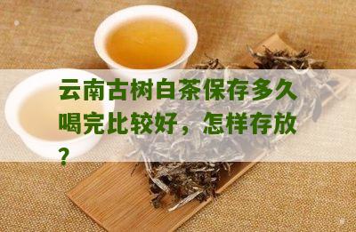 云南古树白茶保存多久喝完比较好，怎样存放？