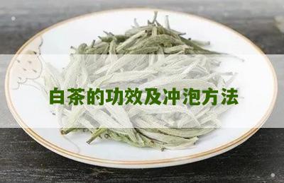 白茶的功效及冲泡方法