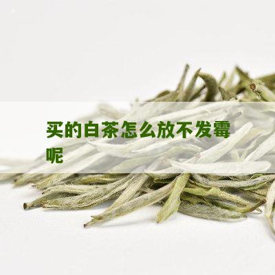 买的白茶怎么放不发霉呢