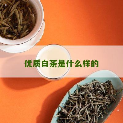 优质白茶是什么样的