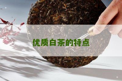 优质白茶的特点