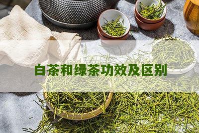 白茶和绿茶功效及区别