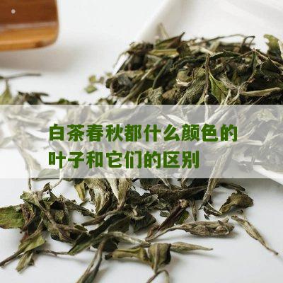 白茶春秋都什么颜色的叶子和它们的区别