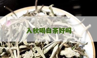 入秋喝白茶好吗