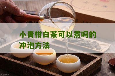 小青柑白茶可以煮吗的冲泡方法