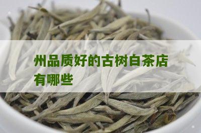 州品质好的古树白茶店有哪些