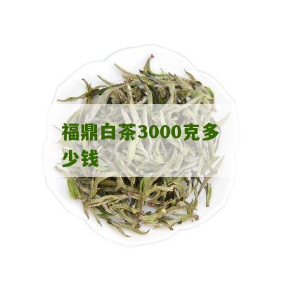 福鼎白茶3000克多少钱