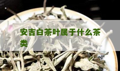 安吉白茶叶属于什么茶类