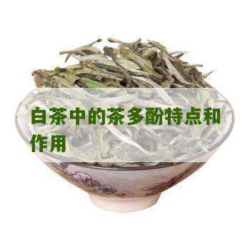 白茶中的茶多酚特点和作用