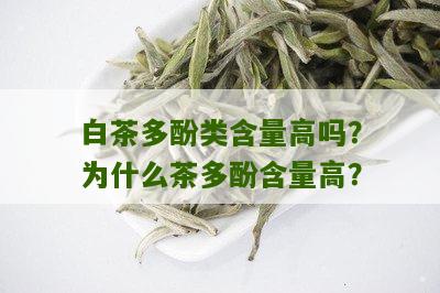 白茶多酚类含量高吗？为什么茶多酚含量高？