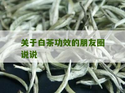 关于白茶功效的朋友圈说说