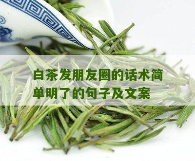 白茶发朋友圈的话术简单明了的句子及文案