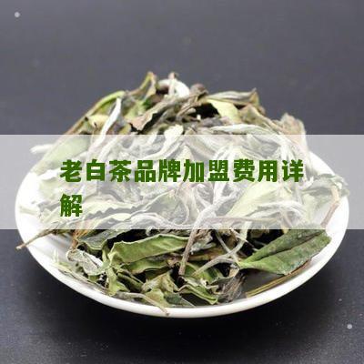 老白茶品牌加盟费用详解