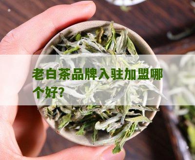 老白茶品牌入驻加盟哪个好？