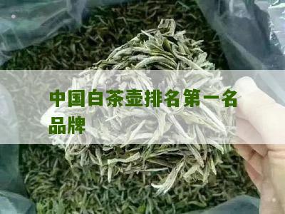 中国白茶壶排名第一名品牌