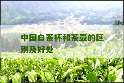 中国白茶杯和茶壶的区别及好处