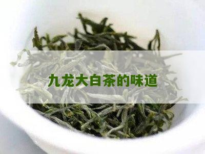 九龙大白茶的味道