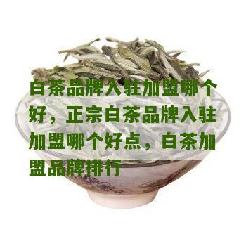 白茶品牌入驻加盟哪个好，正宗白茶品牌入驻加盟哪个好点，白茶加盟品牌排行