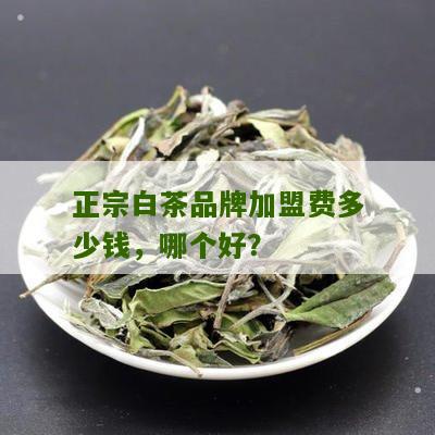 正宗白茶品牌加盟费多少钱，哪个好？