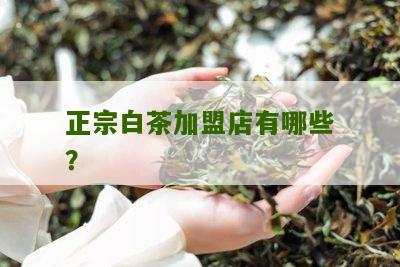 正宗白茶加盟店有哪些？