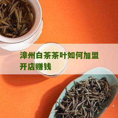 漳州白茶茶叶如何加盟开店赚钱