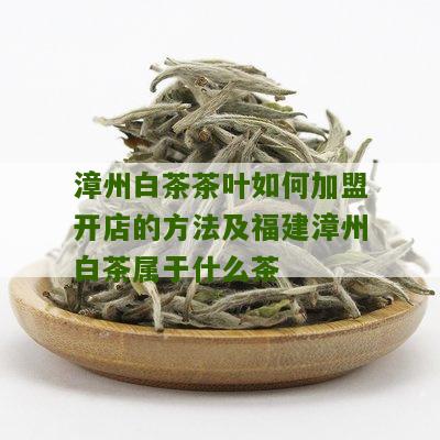 漳州白茶茶叶如何加盟开店的方法及福建漳州白茶属于什么茶