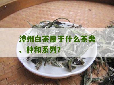 漳州白茶属于什么茶类、种和系列？