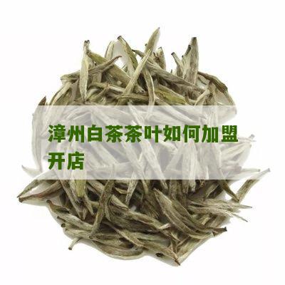 漳州白茶茶叶如何加盟开店