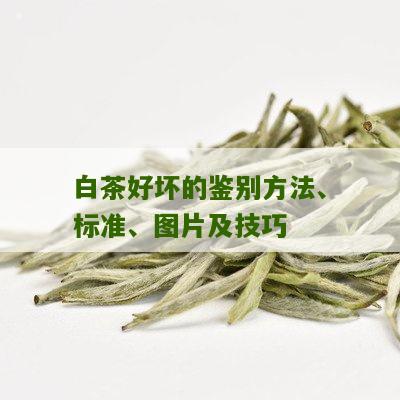 白茶好坏的鉴别方法、标准、图片及技巧