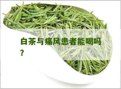 白茶与痛风患者能喝吗？