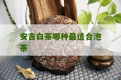 安吉白茶哪种最适合泡茶