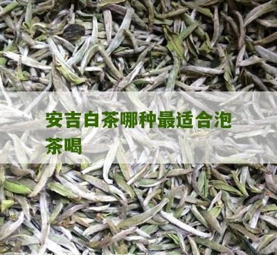 安吉白茶哪种最适合泡茶喝