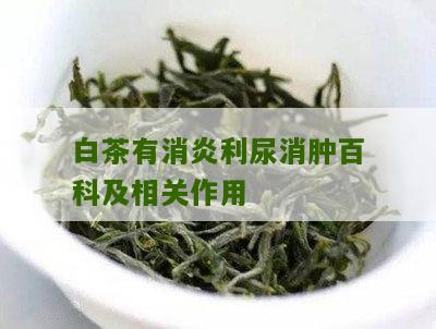 白茶有消炎利尿消肿百科及相关作用