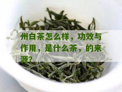 州白茶怎么样，功效与作用，是什么茶，的来源？