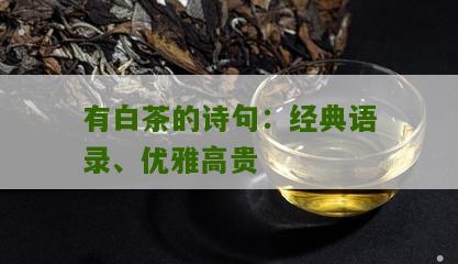 有白茶的诗句：经典语录、优雅高贵