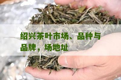 绍兴茶叶市场、品种与品牌，场地址