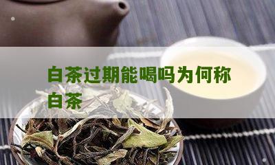 白茶过期能喝吗为何称白茶