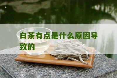 白茶有点是什么原因导致的