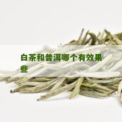 白茶和普洱哪个有效果些