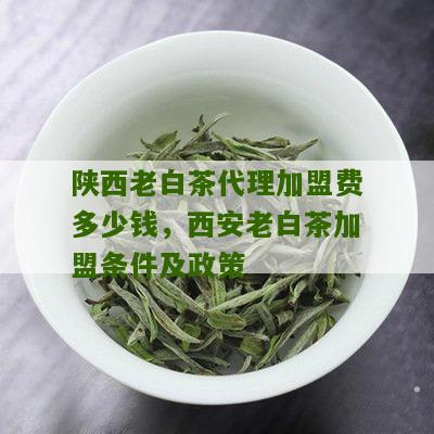 陕西老白茶代理加盟费多少钱，西安老白茶加盟条件及政策