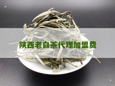 陕西老白茶代理加盟费