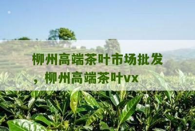 柳州高端茶叶市场批发，柳州高端茶叶vx