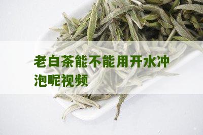 老白茶能不能用开水冲泡呢视频