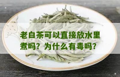 老白茶可以直接放水里煮吗？为什么有毒吗？