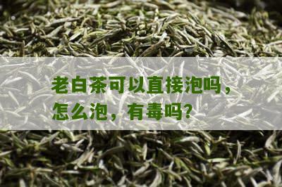 老白茶可以直接泡吗，怎么泡，有毒吗？