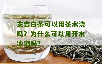 安吉白茶可以用茶水浇吗？为什么可以用开水冲泡吗？