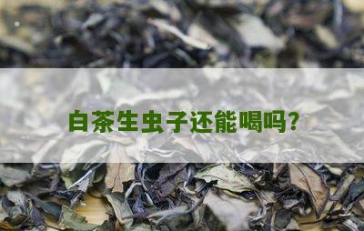 白茶生虫子还能喝吗？