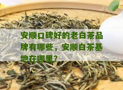 安顺口碑好的老白茶品牌有哪些，安顺白茶基地在哪里？