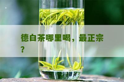 德白茶哪里喝，最正宗？