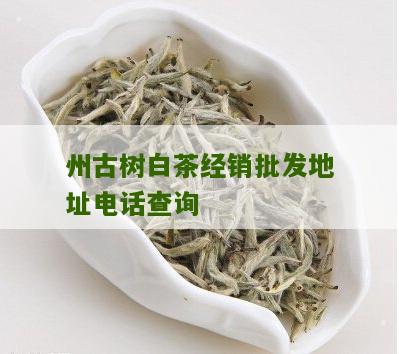 州古树白茶经销批发地址电话查询